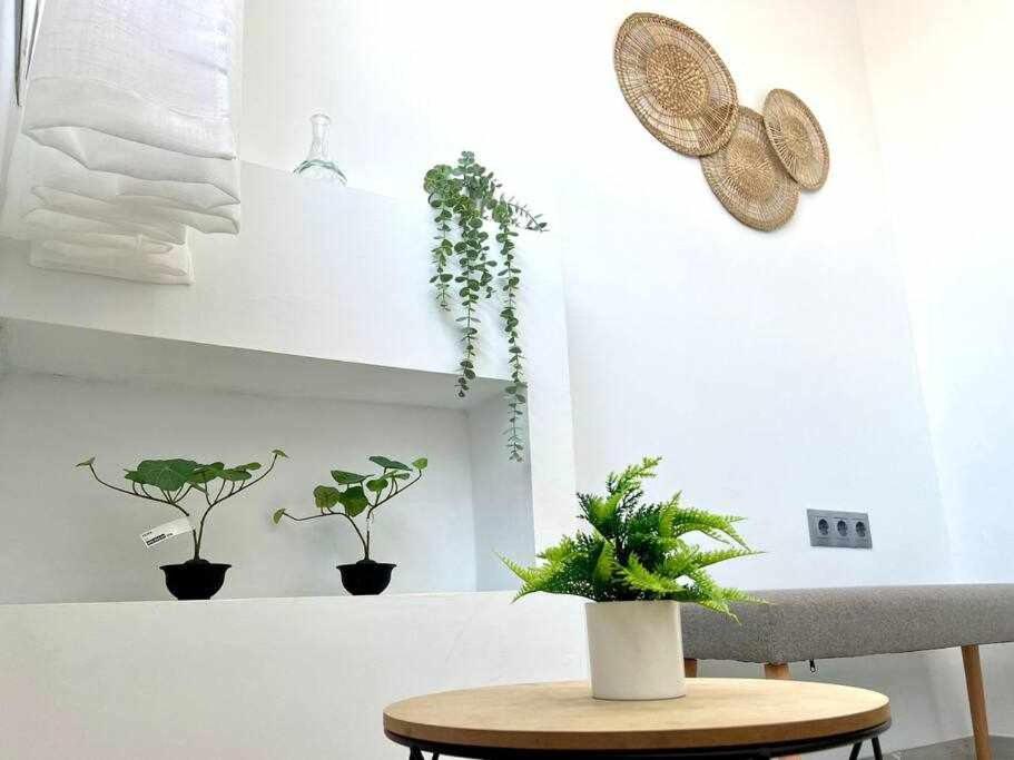 Apartamento Nuevo Centro Historico De Málaga Extérieur photo